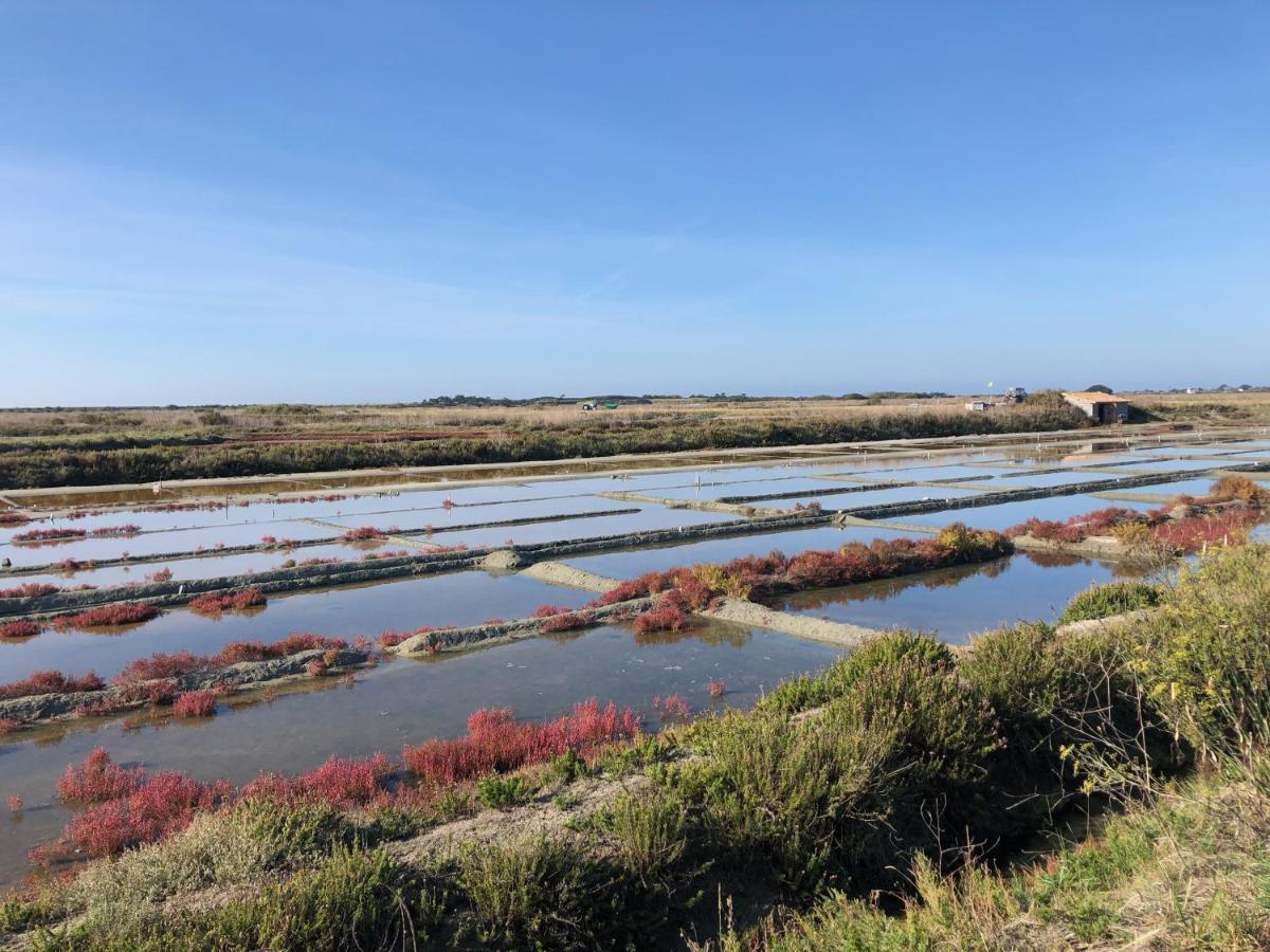 Les Pois Sont Verts La Rochelle  Zewnętrze zdjęcie